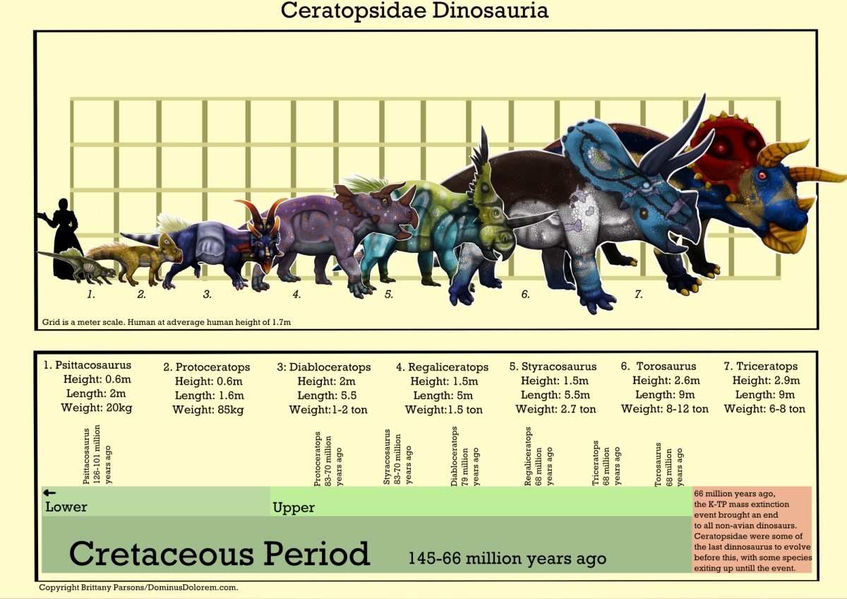 Ceratopcian Poster project